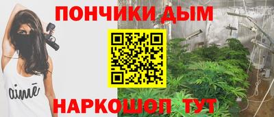 трава Кандалакша