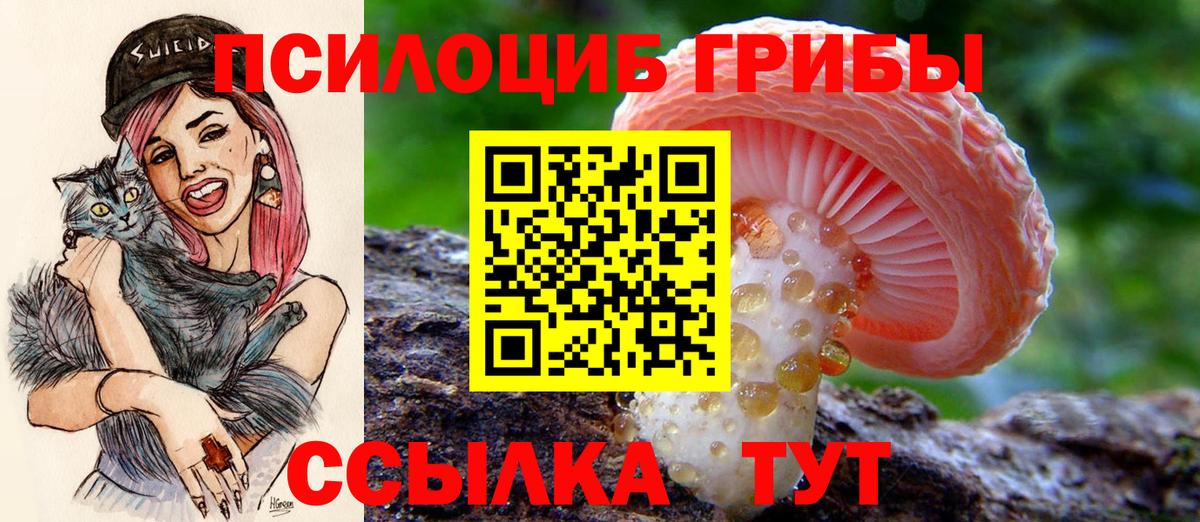 Псилоцибиновые грибы прущие грибы Лабытнанги