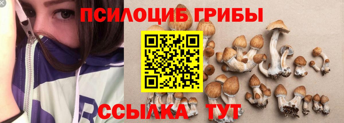Псилоцибиновые грибы Psilocybine cubensis  Псилоцибиновые грибы Psilocybine cubensis  Лабытнанги  Вход с VPN 